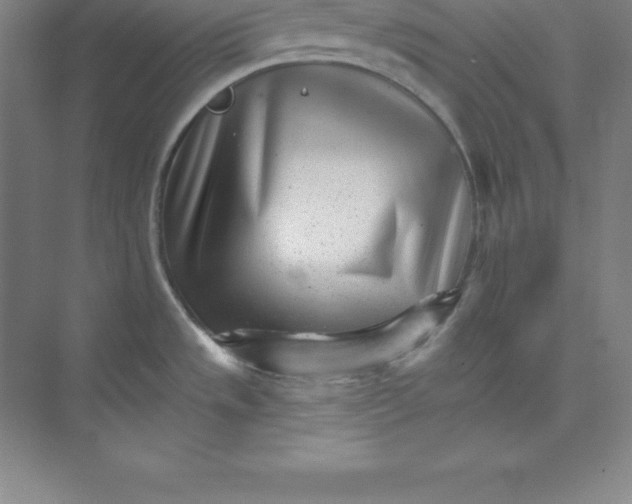 X0000074221533200609221954