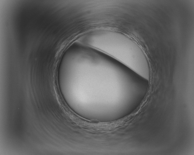 X0000074230001200608250828