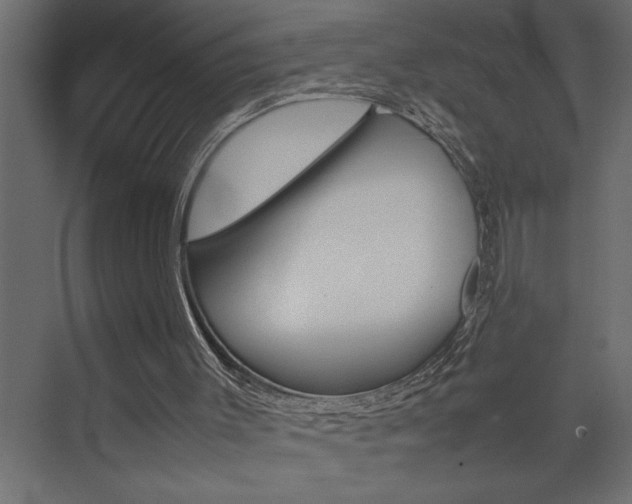 X0000074230003200608250828
