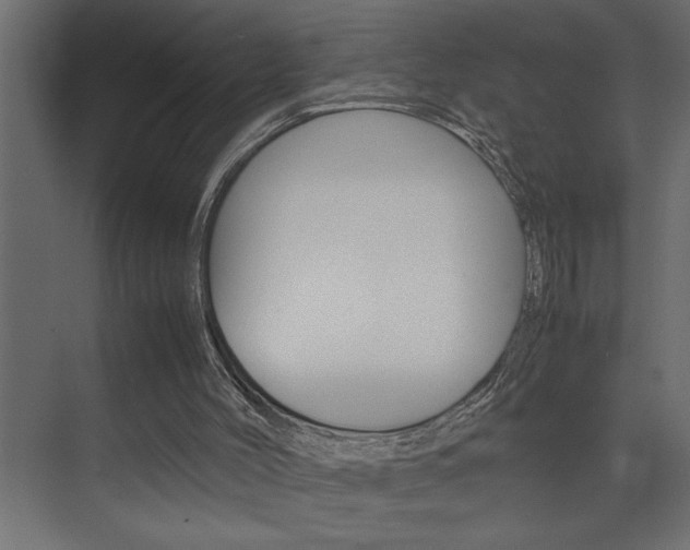 X0000074230004200608250828