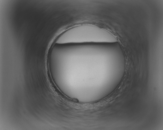 X0000074230006200608250828