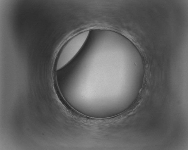 X0000074230007200608250828