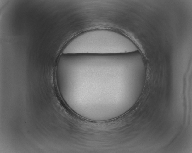 X0000074230010200608250828