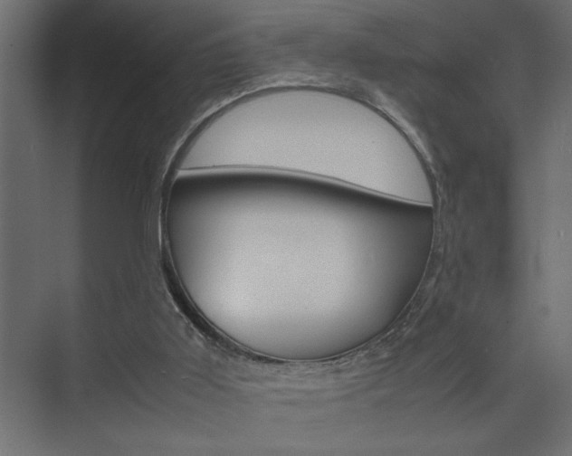 X0000074230011200608250828