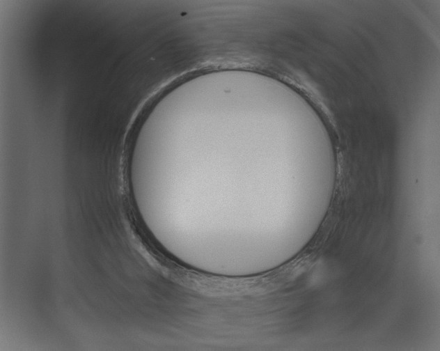 X0000074230012200608250828