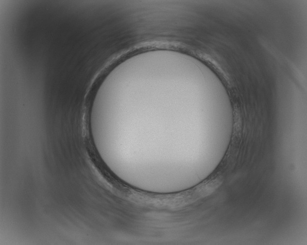 X0000074230016200608250828