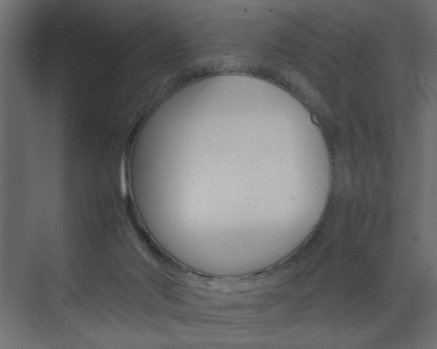 X0000074230022200608250828