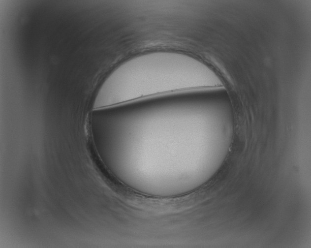 X0000074230023200608250828