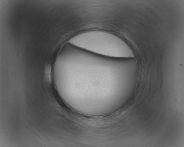 X0000074230024200608250828