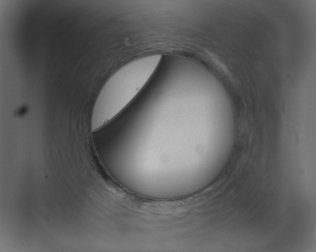 X0000074230025200608250828