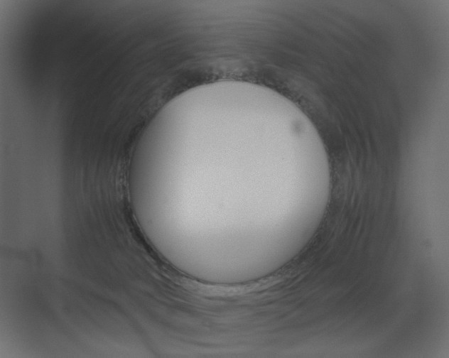 X0000074230034200608250828