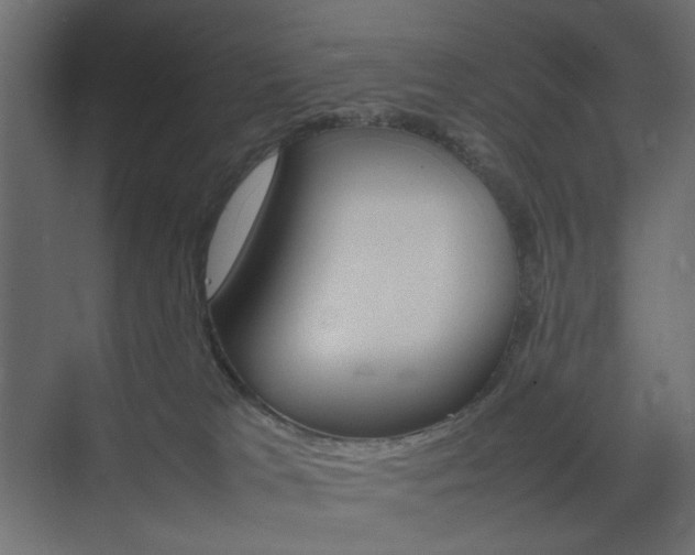 X0000074230037200608250828