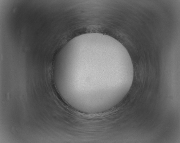 X0000074230038200608250828