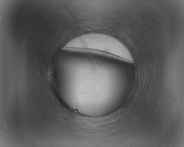 X0000074230039200608250828