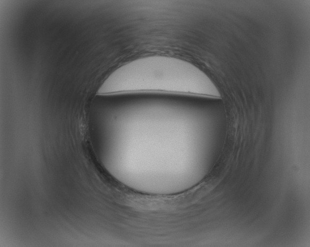 X0000074230040200608250828