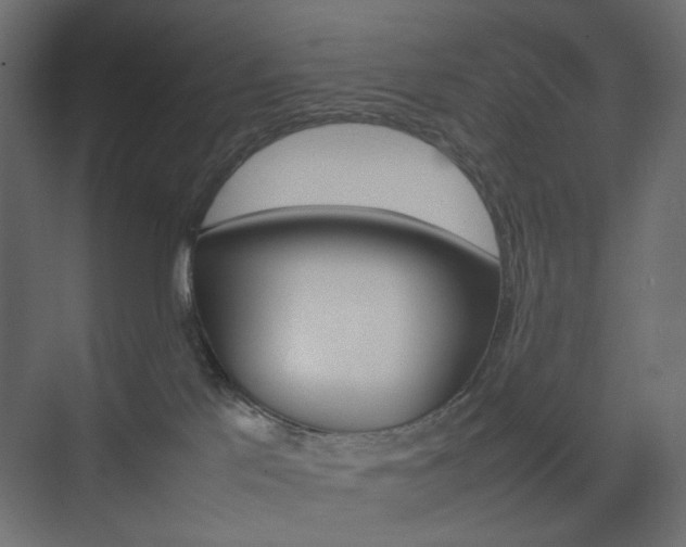 X0000074230041200608250827