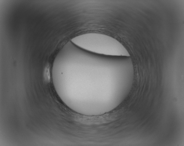 X0000074230042200608250827