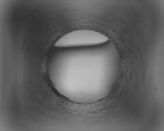X0000074230043200608250827