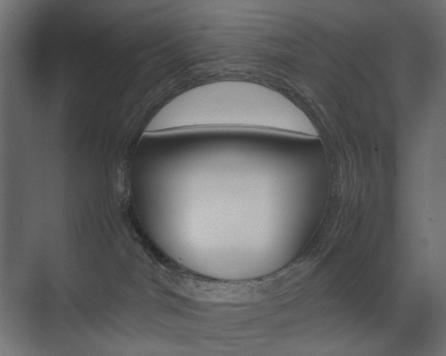 X0000074230044200608250827