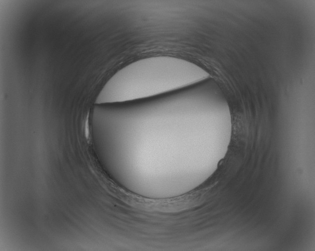 X0000074230046200608250827
