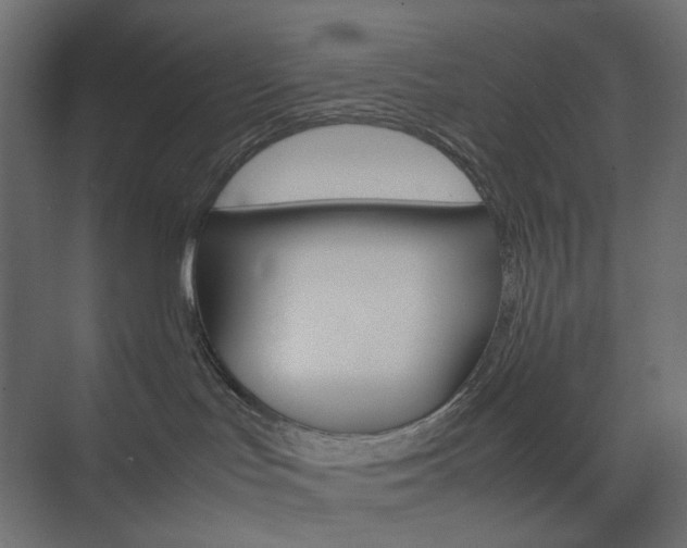 X0000074230047200608250827