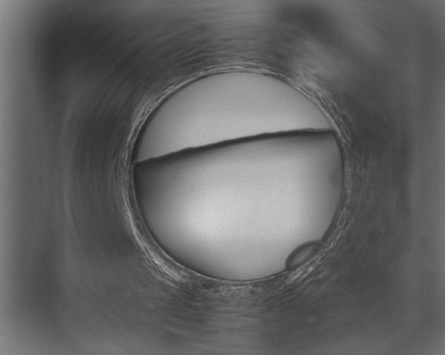 X0000074230049200608250827