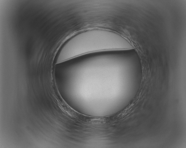 X0000074230050200608250827