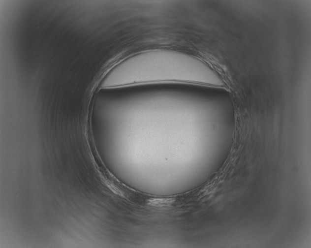 X0000074230051200608250827