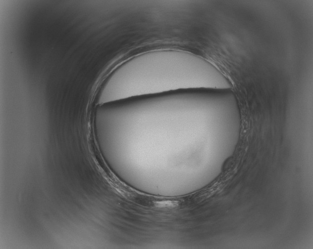 X0000074230053200608250827