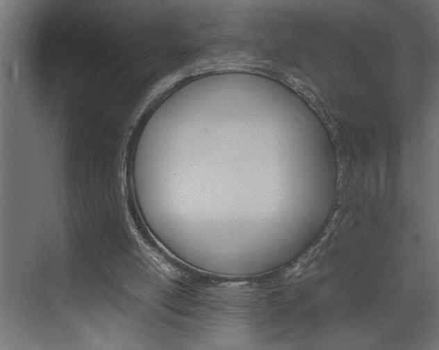 X0000074230054200608250827
