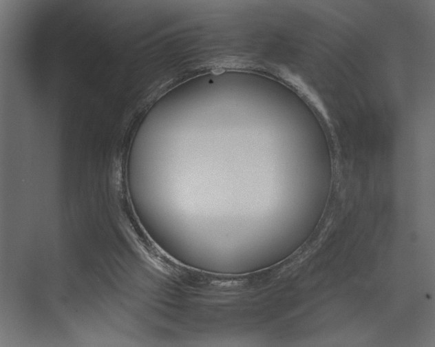 X0000074230057200608250827