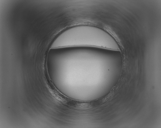 X0000074230058200608250827