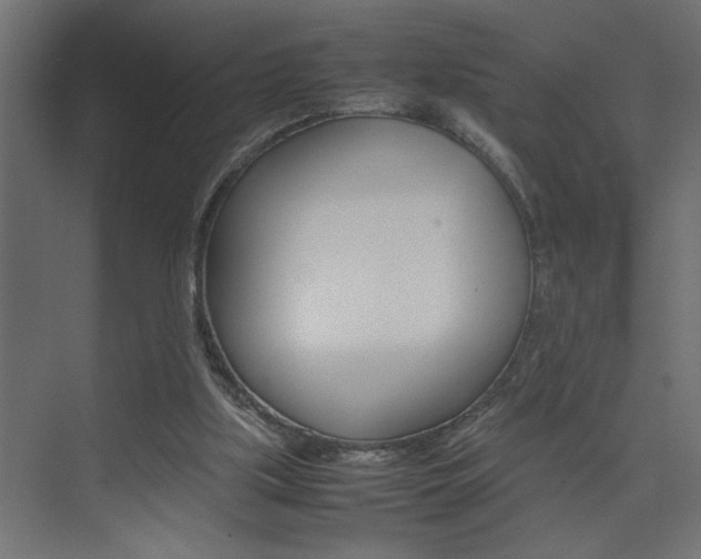 X0000074230059200608250827