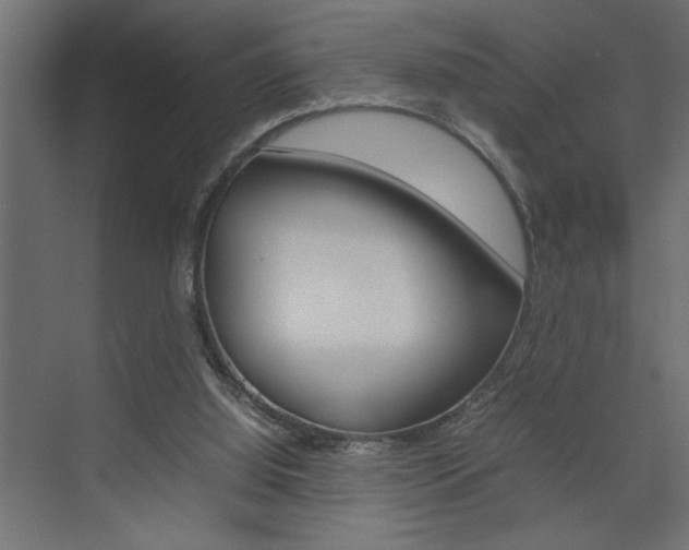 X0000074230060200608250827