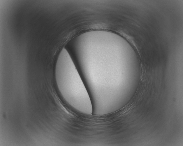 X0000074230061200608250827