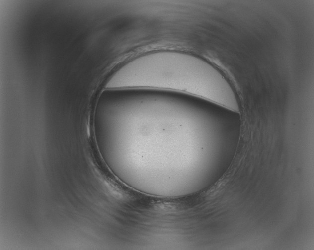 X0000074230062200608250827