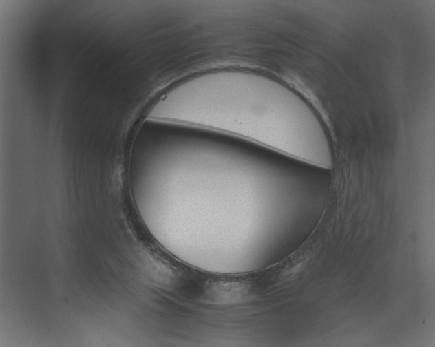 X0000074230063200608250827