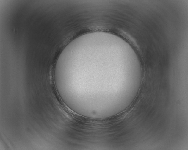 X0000074230065200608250827