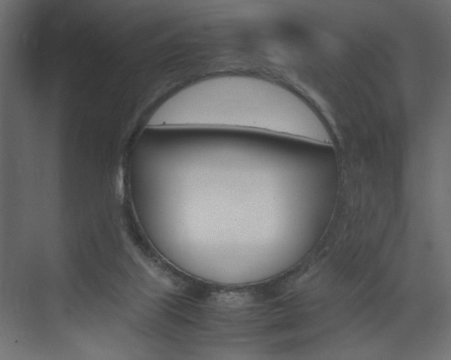 X0000074230067200608250827