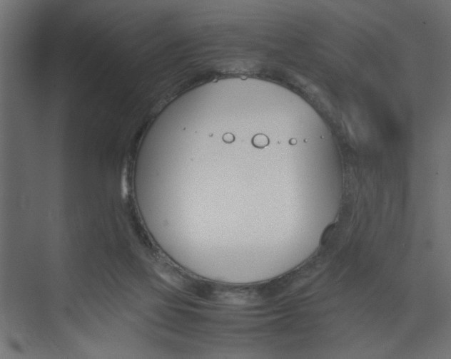 X0000074230069200608250827