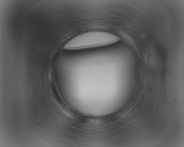 X0000074230071200608250827