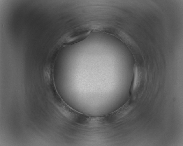 X0000074230072200608250827