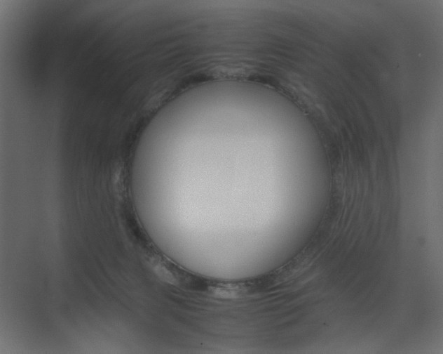X0000074230079200608250827