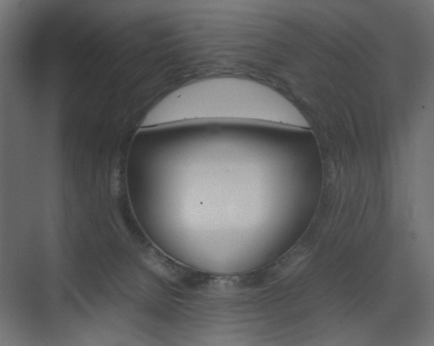 X0000074230080200608250827