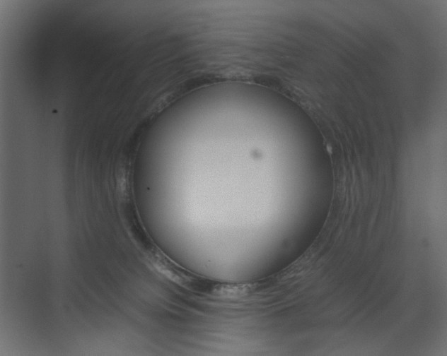 X0000074230084200608250827