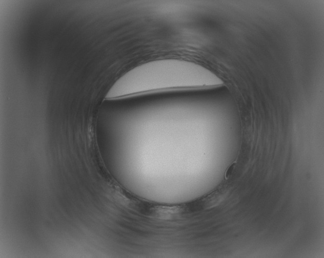 X0000074230085200608250827
