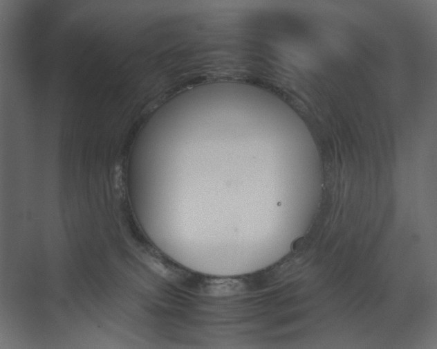 X0000074230087200608250827