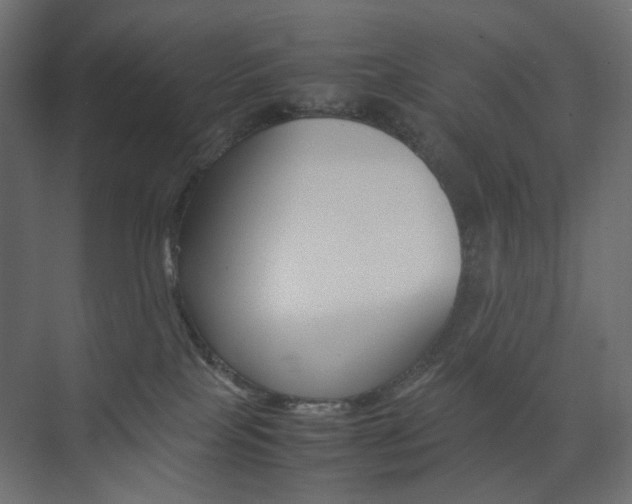 X0000074230089200608250827