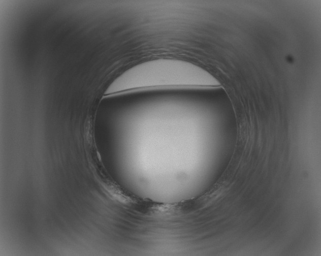X0000074230092200608250827