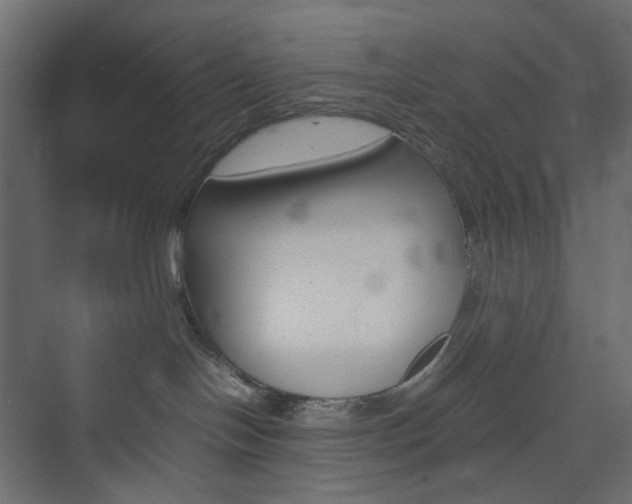 X0000074230094200608250827